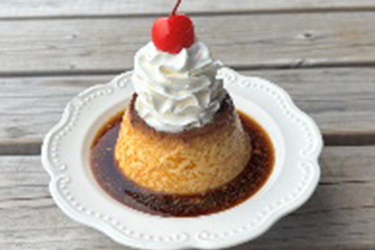 レトロプリン
