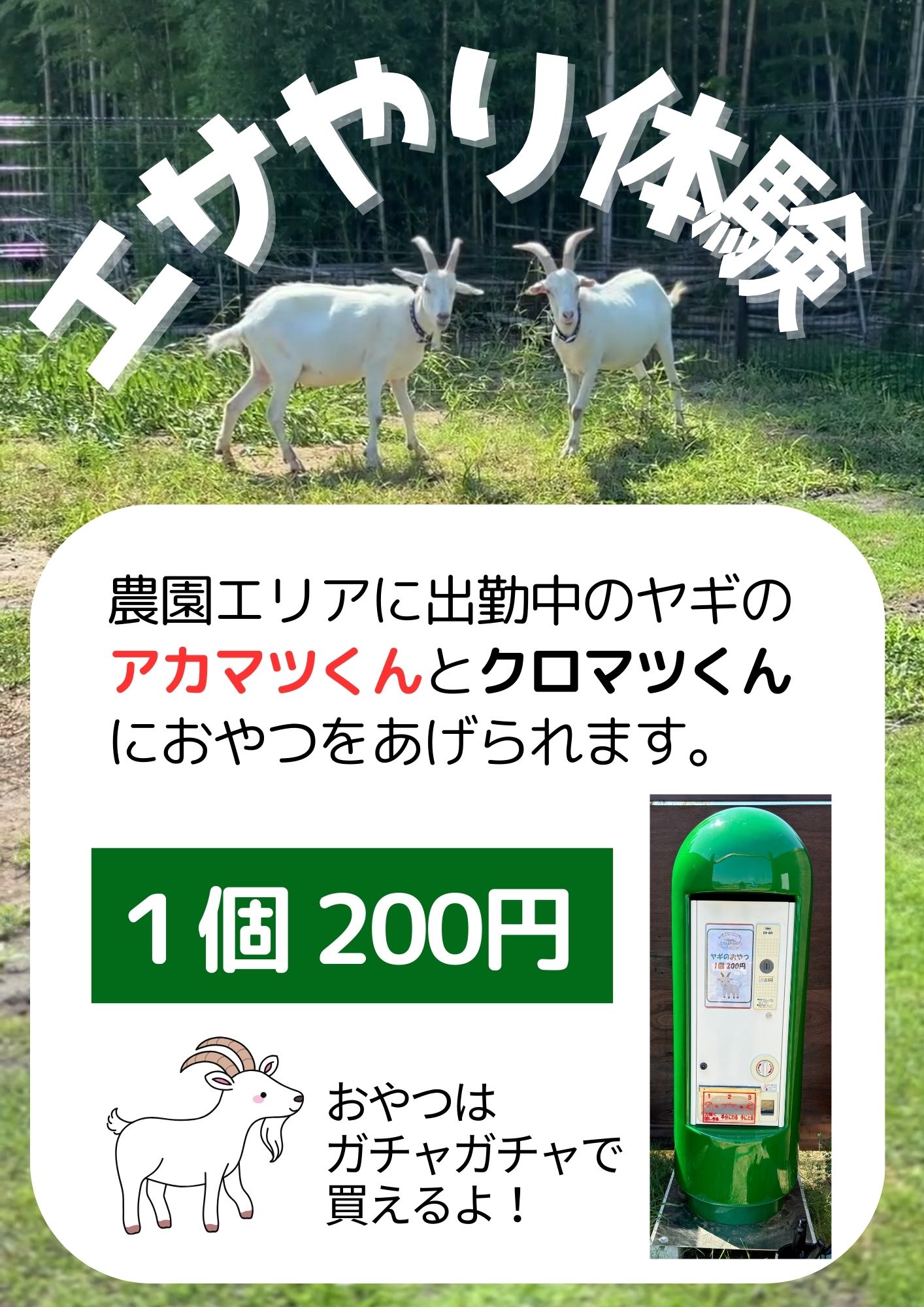 ヤギさま 確認用 1 オーダー出品 やぎさんのエサやり体験ができます